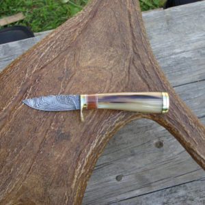 OX HORN WITH AMBOYNA WOOD HANDLE BIRD TROUT KNIFE