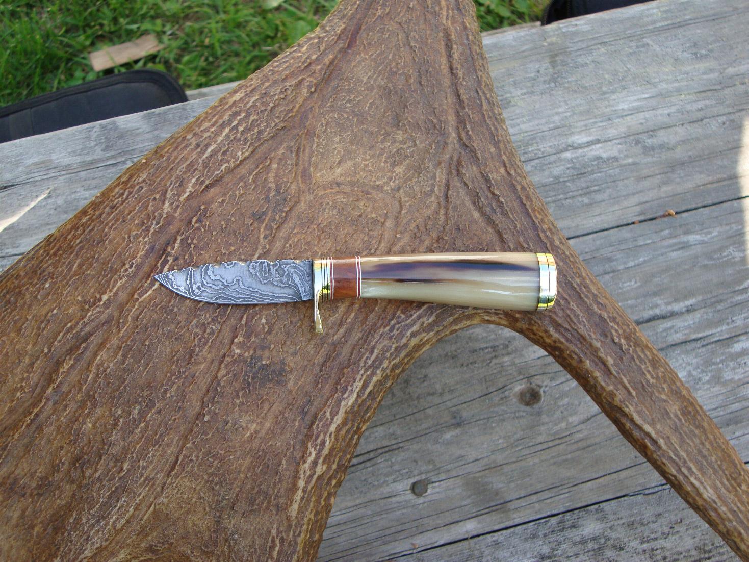 OX HORN WITH AMBOYNA WOOD HANDLE BIRD TROUT KNIFE