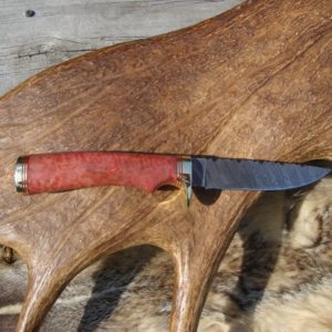 AFRICAN PINK IVORY BURL HANDLE DAMSCUS BLADE HUNTING KNIFE FILE WORKED BLADE