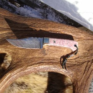 PINK FOSSIL CORAL HANDLE DAMASCUS BLADE HUNTER WITH FILE WORK