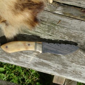 MERINO RAM HORN HANDLE DAMASCUS BLADE HUNTER WITH FILE WORK