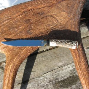 CARBON STEEL INDIA STAG WITH BUFFALO HORN HANDLE CLIP POINT