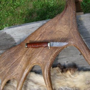 SNAKE WOOD ZEBRA PATTERN DAMASCUS BLADE BIRD TROUT KNIFE