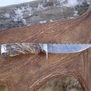 SPALTED HACKBERRY WITH MAMMOTH TOOTH HANDLE TIGER STRIPE DAMASCUS BLADE WITH LOTS OF FILE WORK