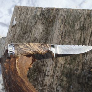 SPALTED HACKBERRY WITH MAMMOTH TOOTH HANDLE TIGER STRIPE DAMASCUS BLADE WITH LOTS OF FILE WORK