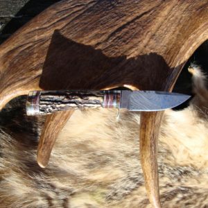 AGED INDIA STAG WITH CAPE BUFFALO BONE HANDLE DAMASCUS BLADE HUNTING KNIFE FILE WORKED BLADE