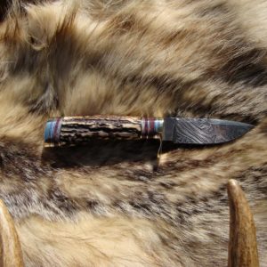 AGED INDIA STAG WITH CAPE BUFFALO BONE HANDLE DAMASCUS BLADE HUNTING KNIFE FILE WORKED BLADE