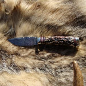 AGED INDIA STAG WITH CAPE BUFFALO BONE HANDLE DAMASCUS BLADE HUNTING KNIFE FILE WORKED BLADE