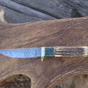 INDIA STAG WITH MAPLE BURL WOOD HANDLE DAMASCUS BLADE HUNTER WITH FILE WORK