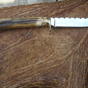 CARBON STEEL BLADE BIRD TROUT KNIFE WITH INDIA STAG AND LEOPARD JASPER HANDLE FILE WORKED BLADE