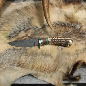 INDIA STAG MALACHITE AMBOYNA WOOD HANDLE DAMASCUS BLADE KNIFE