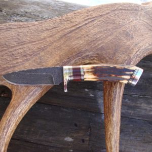 INDIA STAG WITH BLOODWOOD HANDLE DAMASCUS BLADE KNIFE