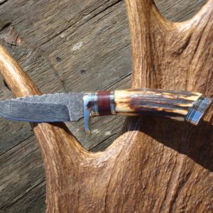 INDIA STAG WITH BLOODWOOD HANDLE DAMASCUS BLADE KNIFE
