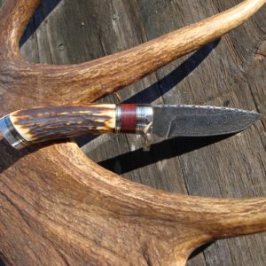 INDIA STAG WITH BLOODWOOD HANDLE DAMASCUS BLADE KNIFE