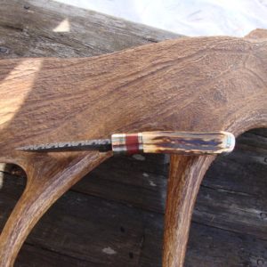 INDIA STAG WITH BLOODWOOD HANDLE DAMASCUS BLADE KNIFE