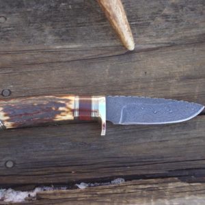 INDIA STAG WITH BLOODWOOD HANDLE DAMASCUS BLADE KNIFE