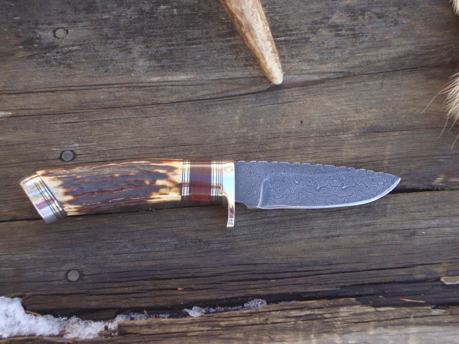 INDIA STAG WITH BLOODWOOD HANDLE DAMASCUS BLADE KNIFE