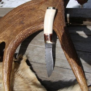 WART HOG TUSK IRON WOOD HANDLE TWIST DAMASCUS BLADE KNIFE