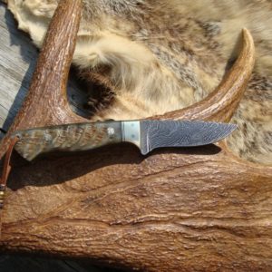 CUSTOM DAMASCUS BLADE AFRICAN WATER BUCK HORN HANDLE KNIFE