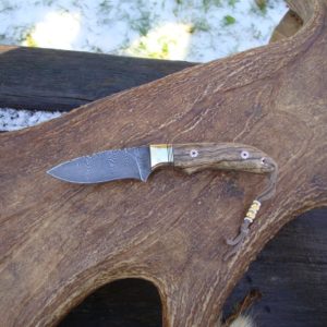 ZEBRA WOOD HANDLE DAMASCUS BLADE SMALL HUNTER