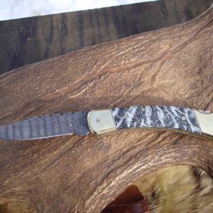 Custom Buck 110 Damascus blade fossil coral handle pocket knife full file worked knife