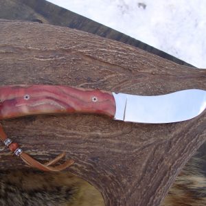 Flame boxelder burl beaver tail skinner with file work 440 stainless steel