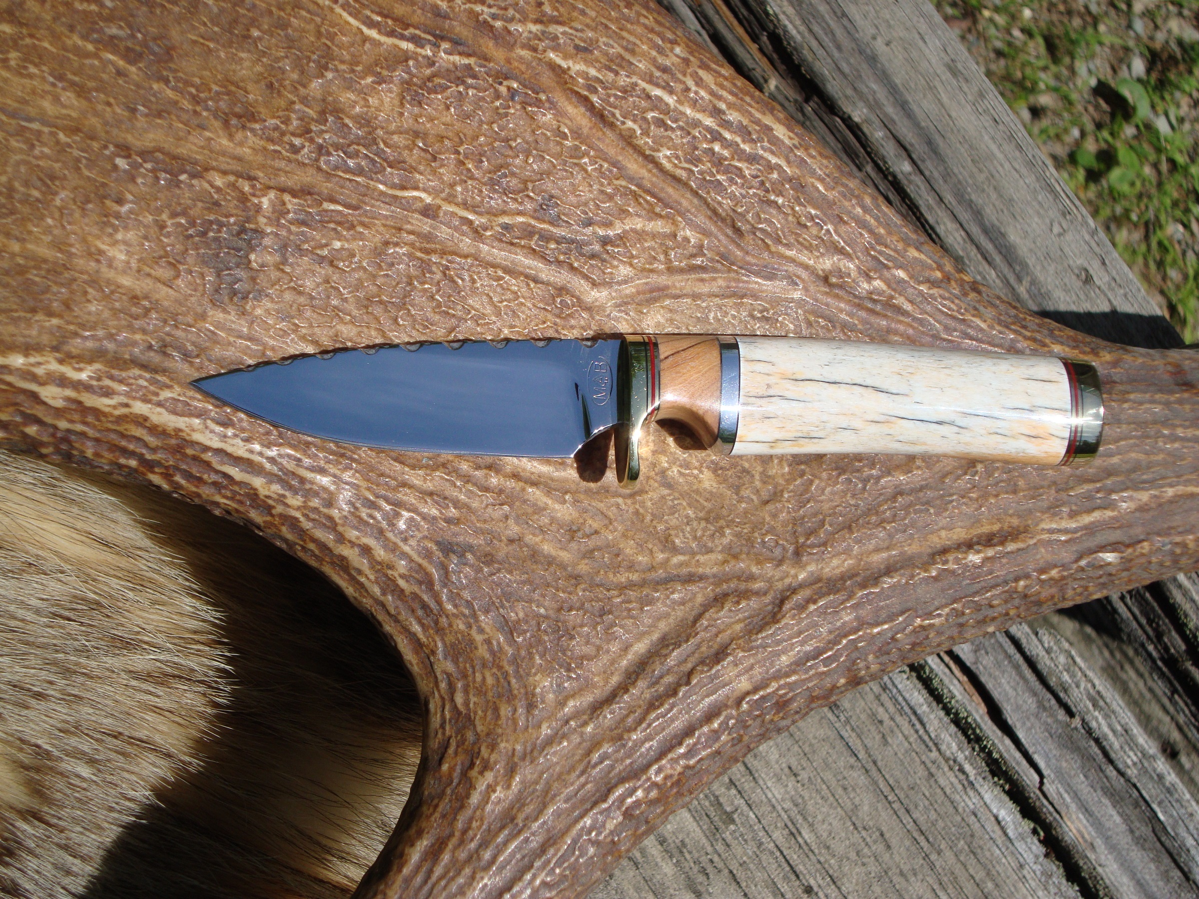 Giraffe Bone With African Olive wood Handle Spear Point Hunter With File Work