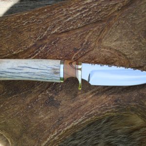 Giraffe Bone With African Olive wood Handle Spear Point Hunter With File Work