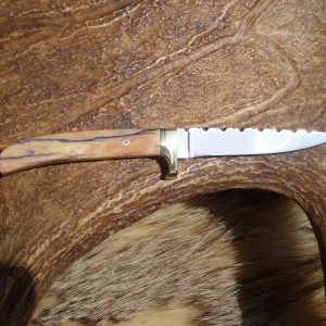 Custom D2 Steel Blade Giraffe Bone Handle Bird Trout Knife file worked