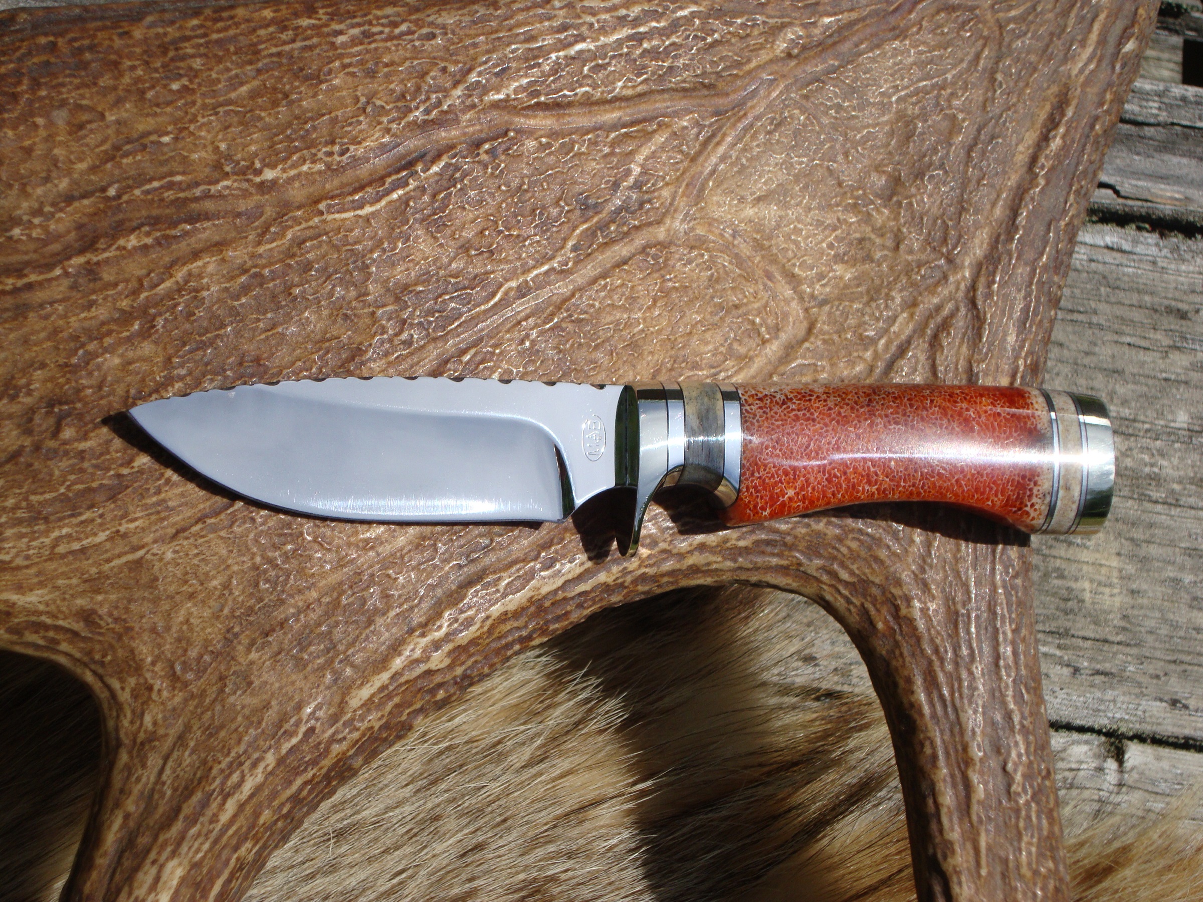 GIRAFFE BONE MARROW WITH ORANGE RESIN HANDLE 52100 BEARING STEEL DROP POINT BLADE FILE WORKED