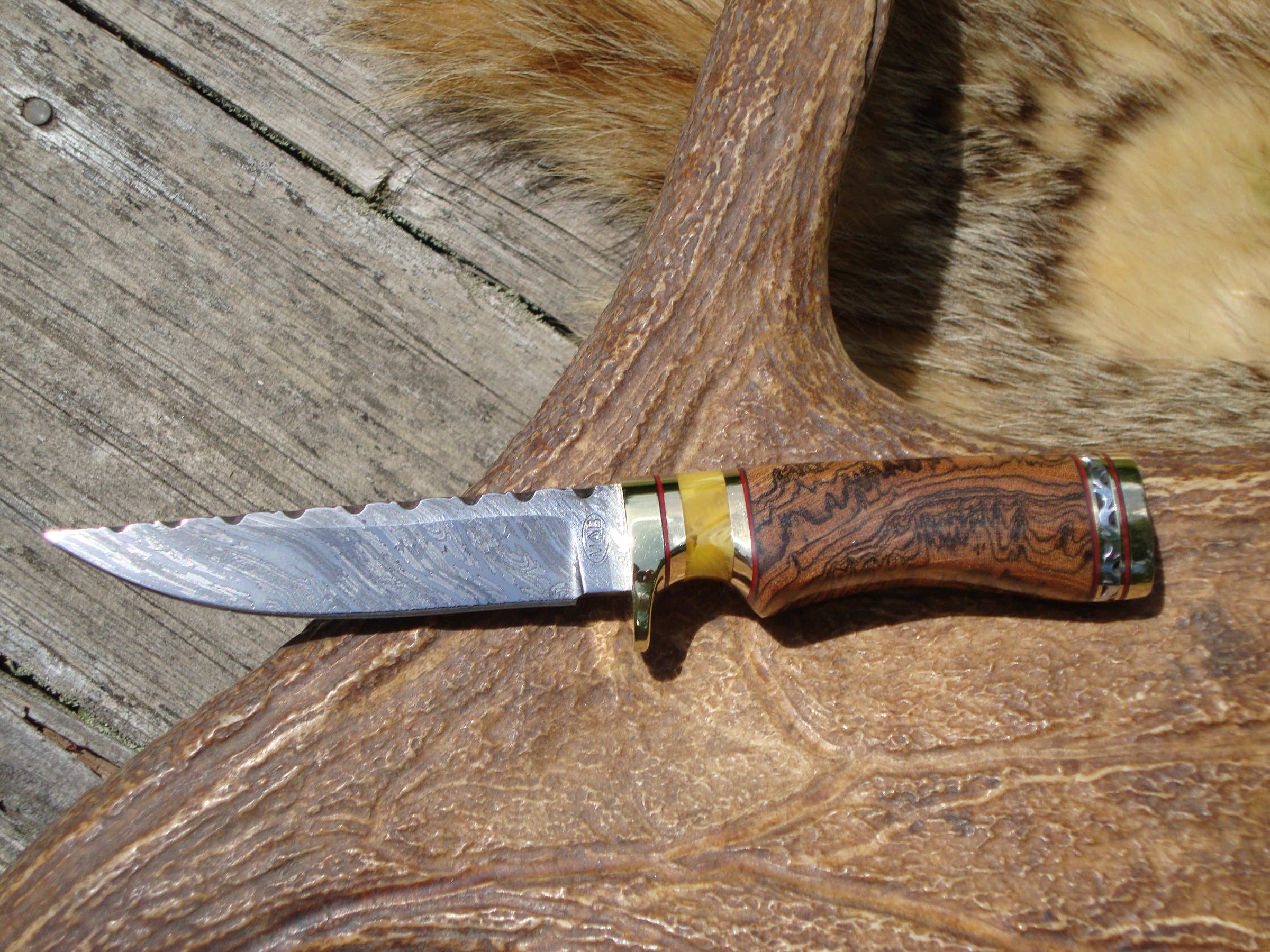 TIGER DAMASCUS BLADE WITH RARE BOCOTE HEAVY BURL WOOD AND COPAL AMBER HANDLE