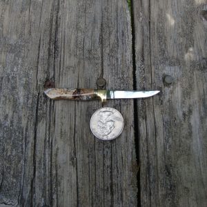 MINIATURE MAMMOTH TOOTH HANDLE KNIFE ONLY 3-1/4 INCHES