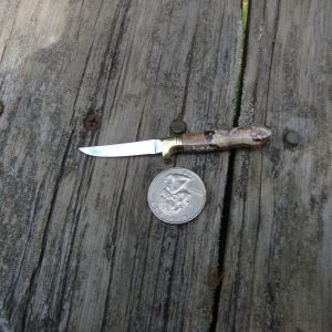 MINIATURE MAMMOTH TOOTH HANDLE KNIFE ONLY 3-1/4 INCHES