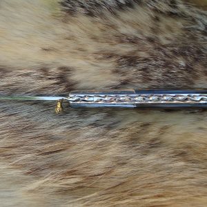 CUSTOM POCKET KNIFE ABALONE AND BLACK LIP MOTHER OF PEARL HANDLES