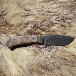 Maple Burl Handle, False grind spear point Twist Pattern Damascus Blade Small Hunter