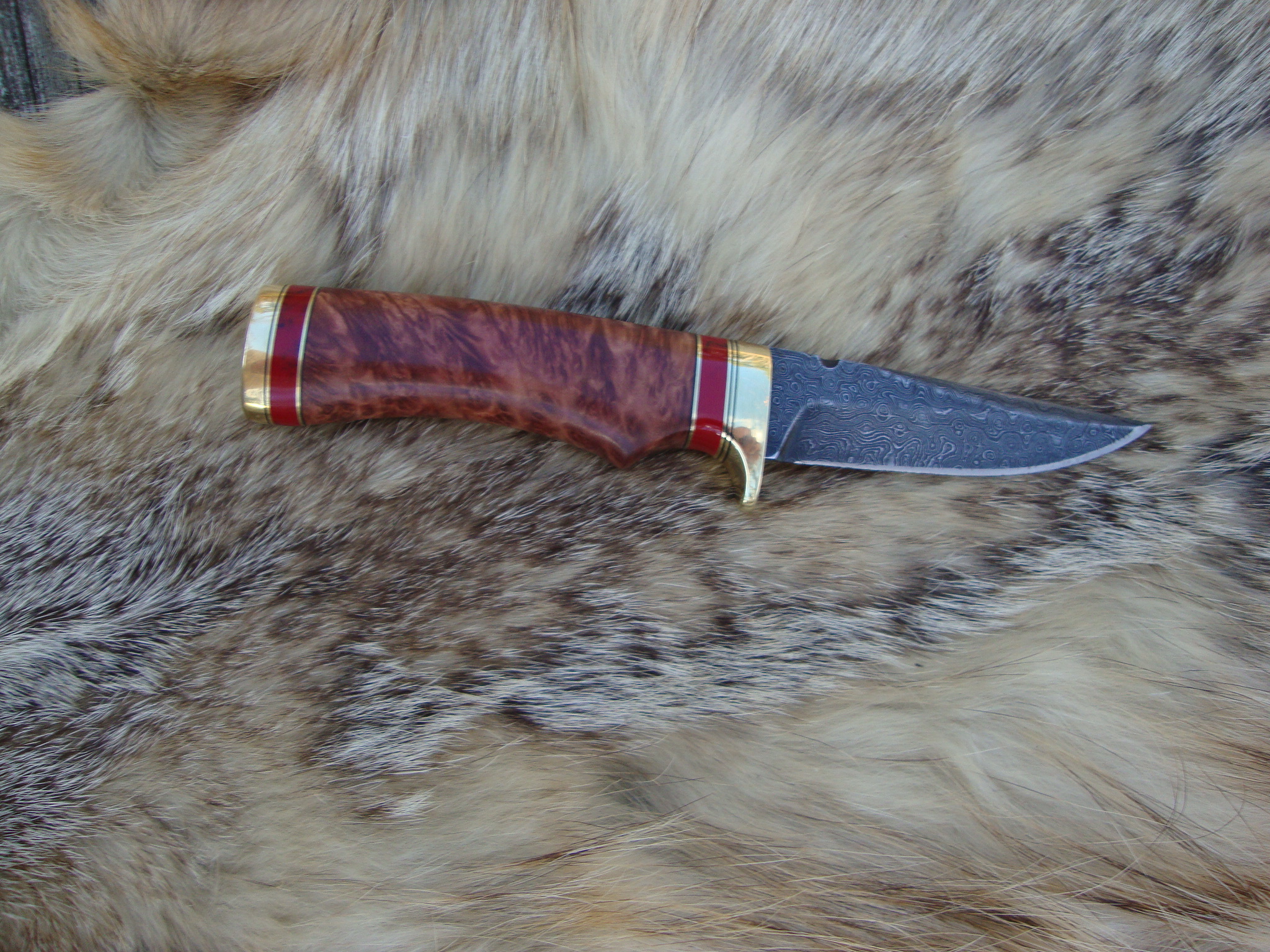 Damascus Blade Bird Trout Knife With Australian Red Malle & Red Jasper Handle