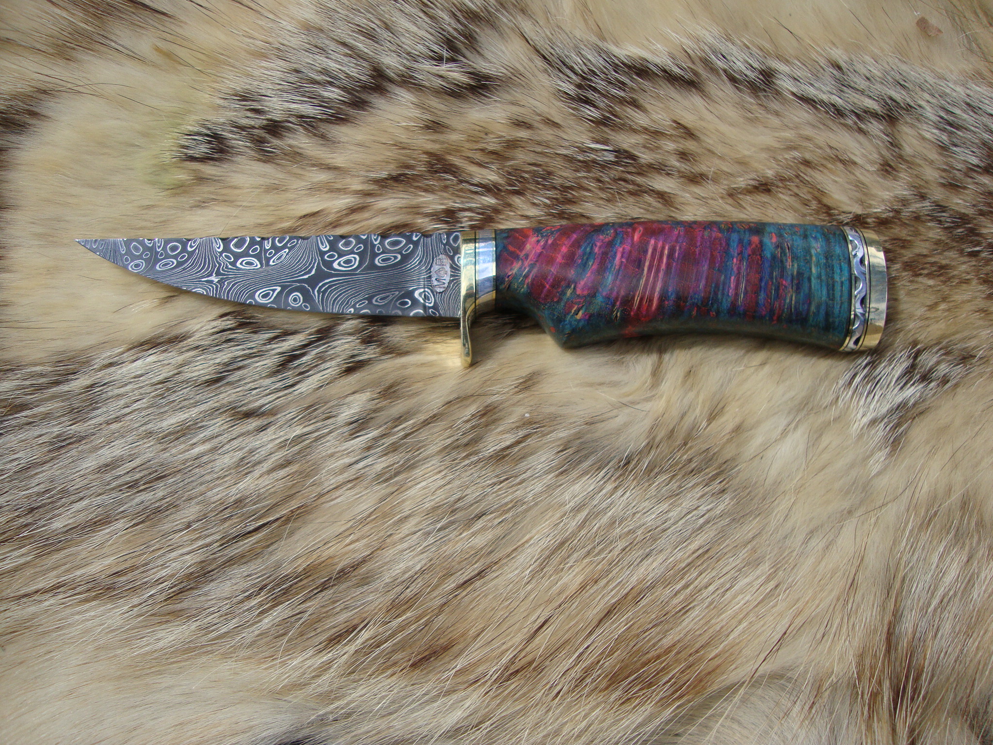 Mosaic Damascus Blade Bird Trout Knife With Maple Burl Handle & Custom File Worked