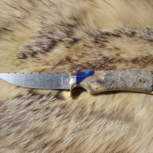 Mosaic Damascus Blade With Buckeye Burl Handle Bird Trout Knife File Worked Blade