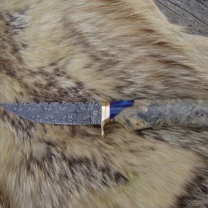 Mosaic Damascus Blade With Buckeye Burl Handle Bird Trout Knife File Worked Blade