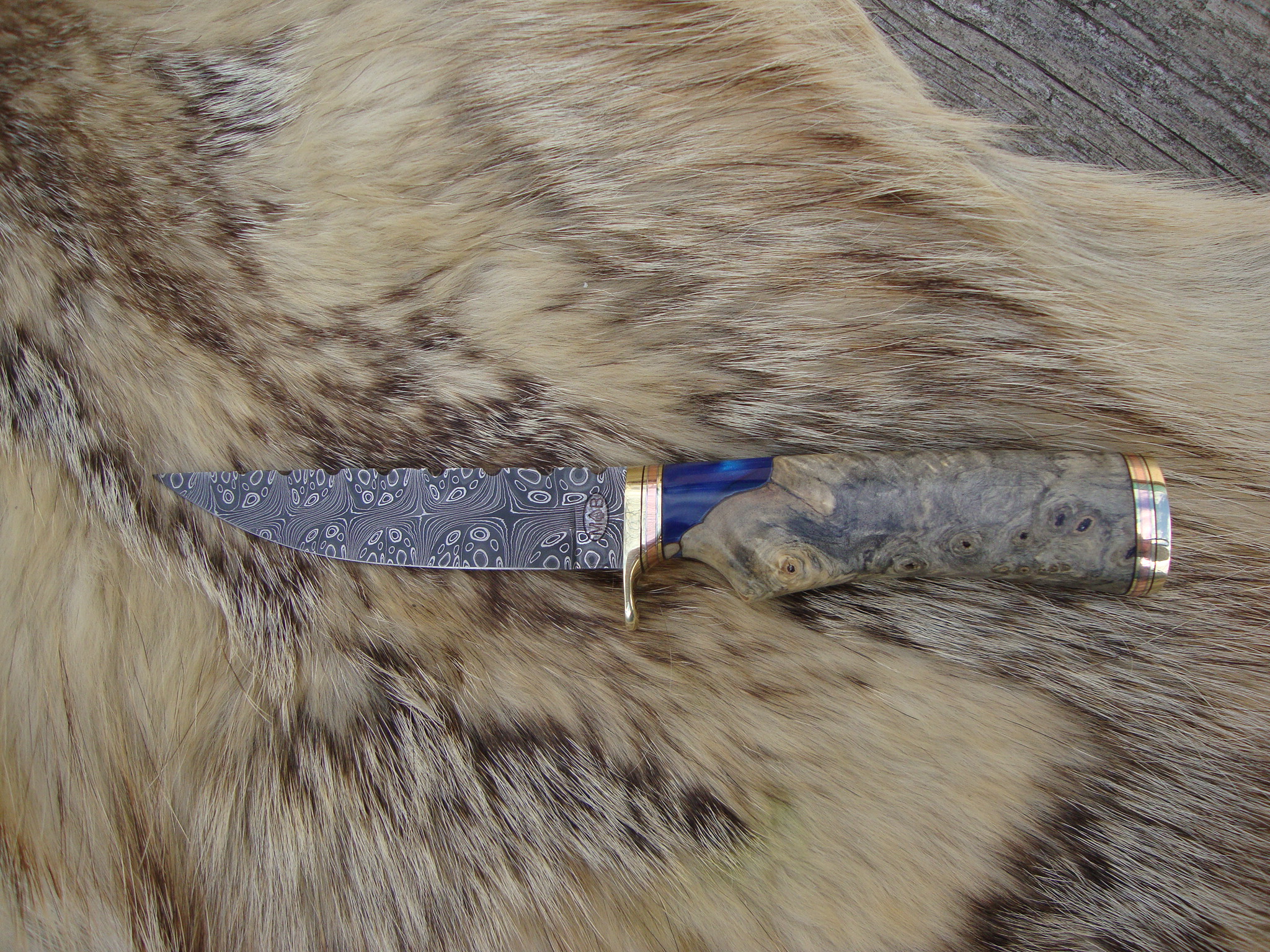 Mosaic Damascus Blade With Buckeye Burl Handle Bird Trout Knife File Worked Blade