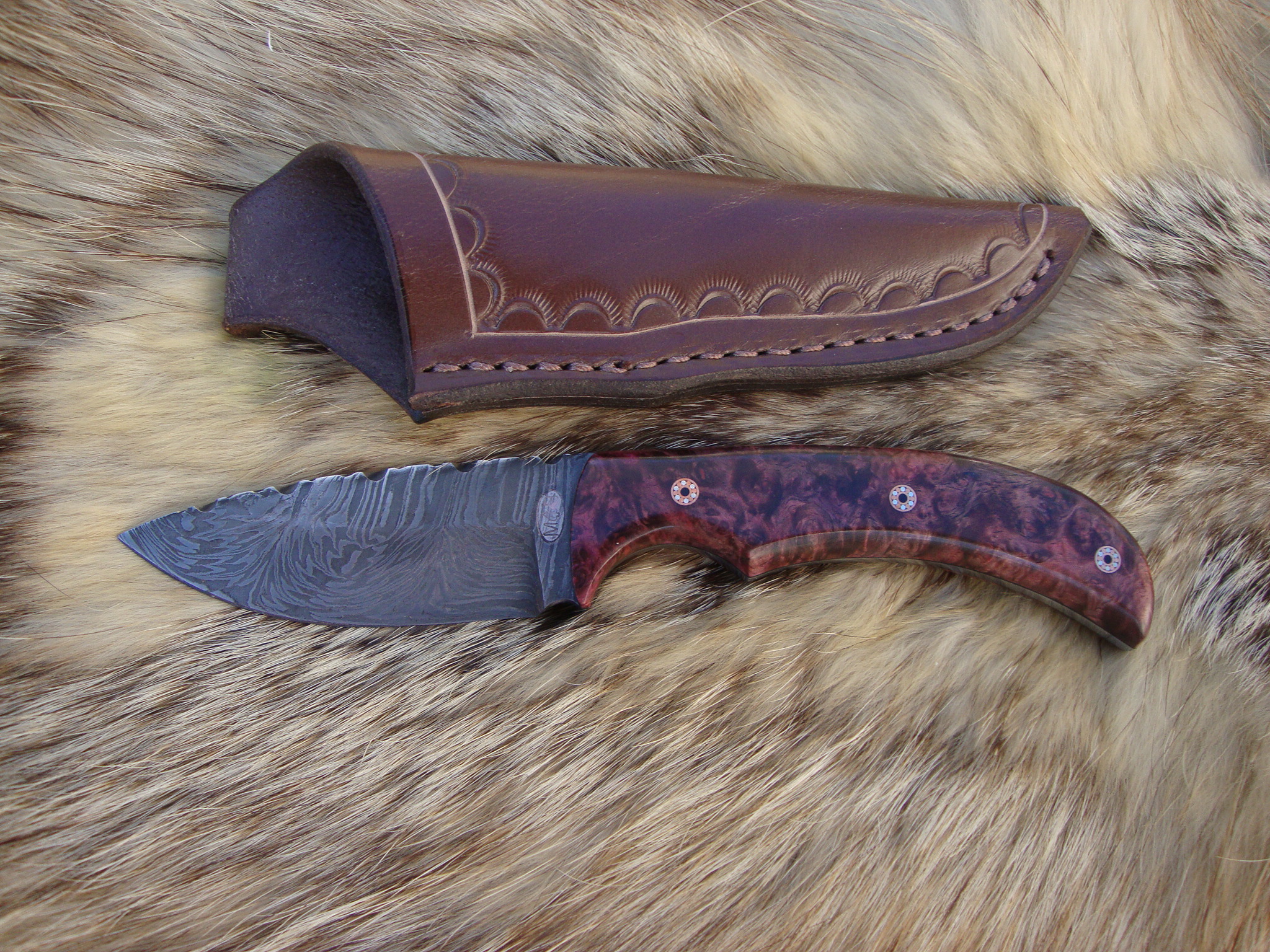 Amboyna Burl Handle Tiger stripe Damascus Blade Drop Point Hunter File Worked Blade