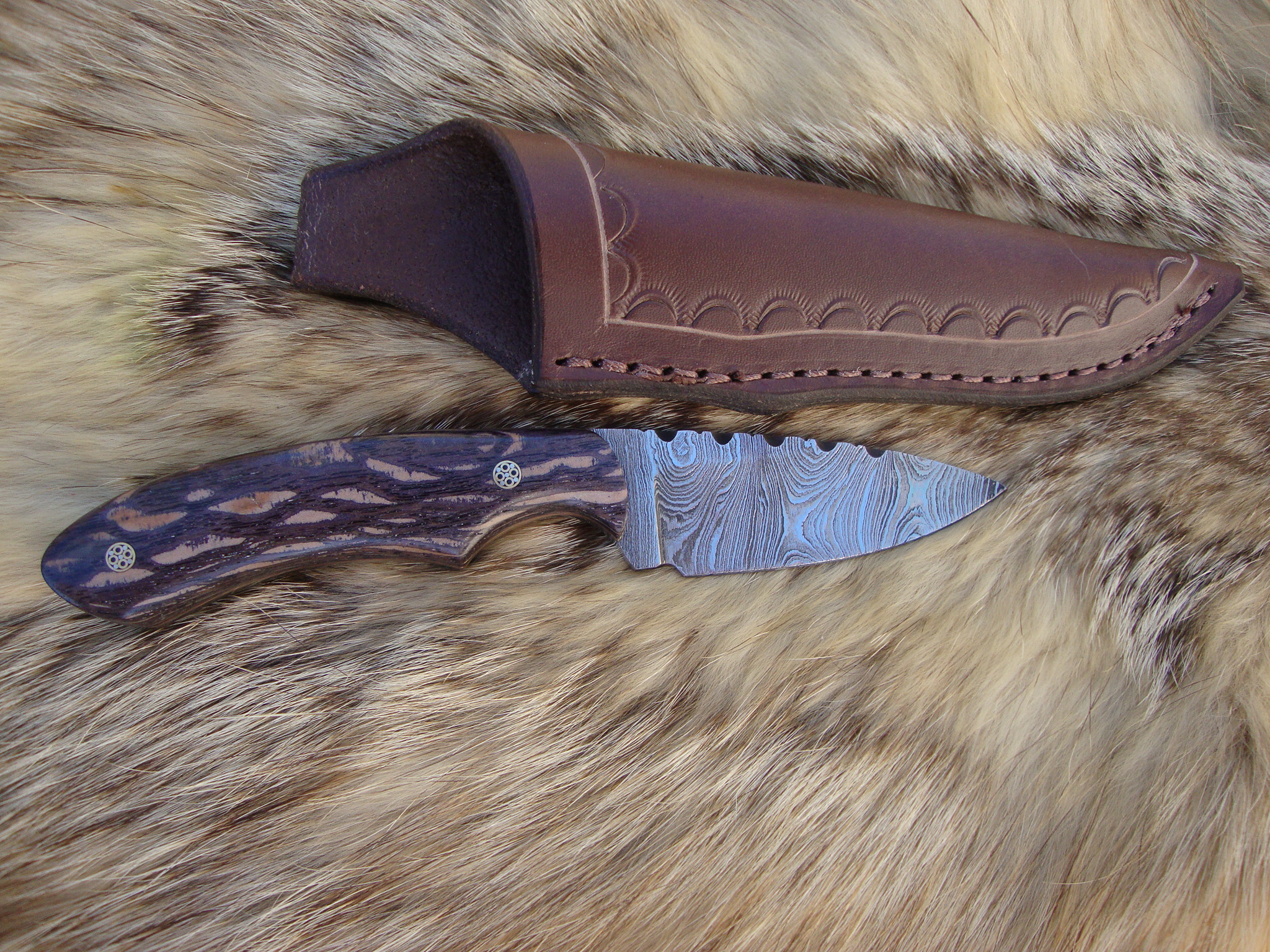 Twist Damascus Blade Lace Wood Handle Drop Point Hunter With Copper Liners And File Work