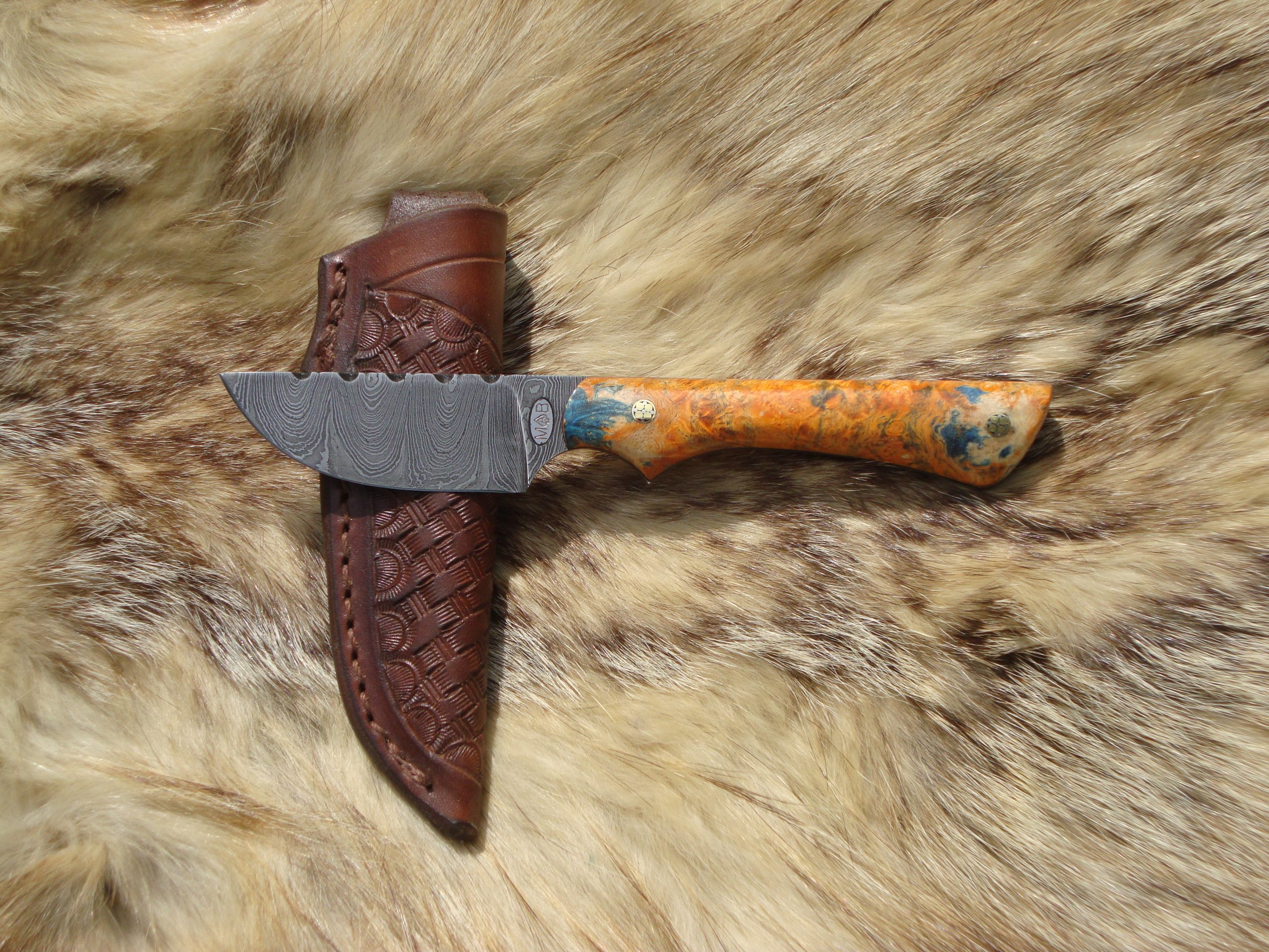 Thumb Print Damascus Blade Skinner Box Elder Burl Wood Hunter