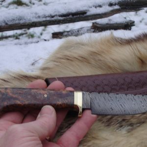 Black Ash Burl Twist Damascus Blade Hunting Knife