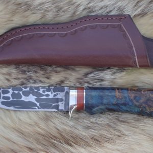 52100 and 1095 Damascus Blade Hunter English Chestnut Burl Wood Handle