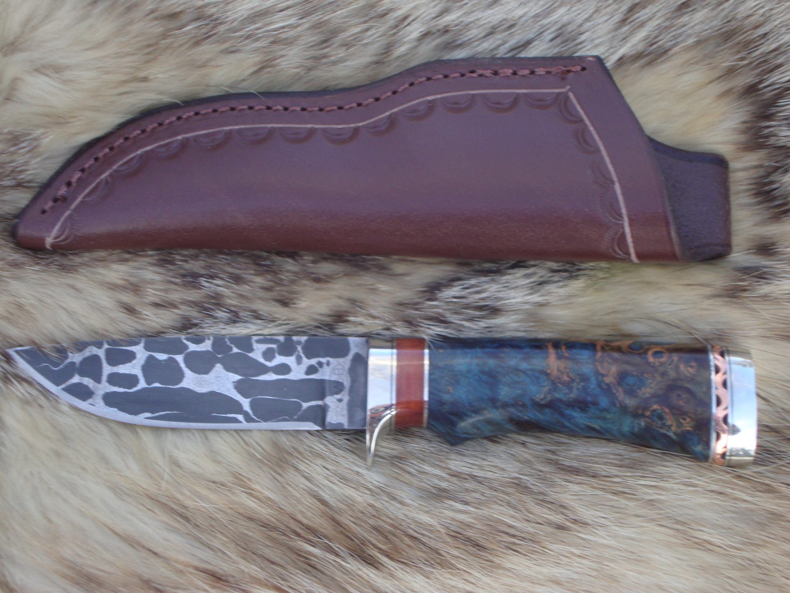 52100 and 1095 Damascus Blade Hunter English Chestnut Burl Wood Handle